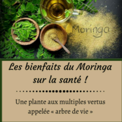 Moringa BioPure 6000 mg 180 gélules